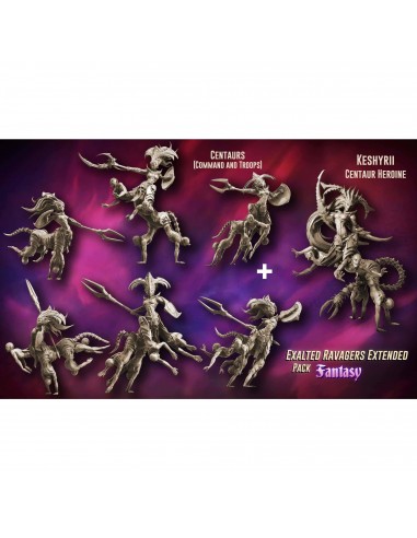 Exalted Ravagers EXTENDED Pack (LE - FANTASY) prix pour 