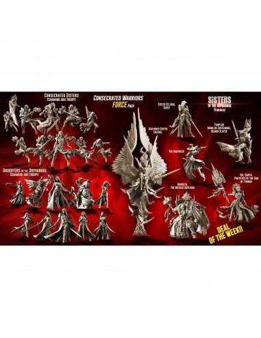 Consecrated Warriors FORCE Pack (SotO - F) pas cher