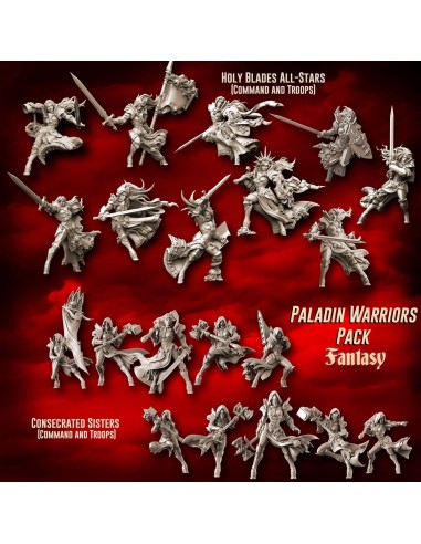 Paladin Warriors Pack (SotO - F) commande en ligne