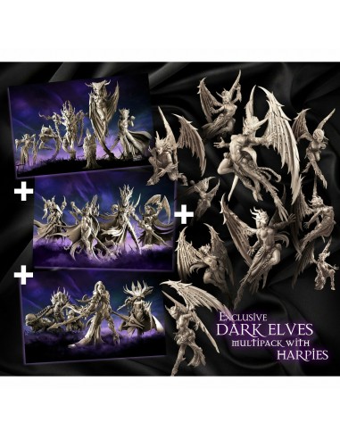 Exclusive DARK Elves Multipack with Harpies prix