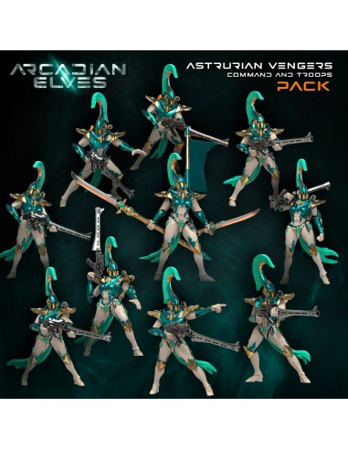 Astrurian Vengers Command + Troops Pack (AE - SF) rembourrage situé sous